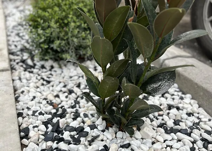 Casa Gary * Caleta de Caballo