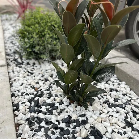 Casa Gary * Caleta de Caballo