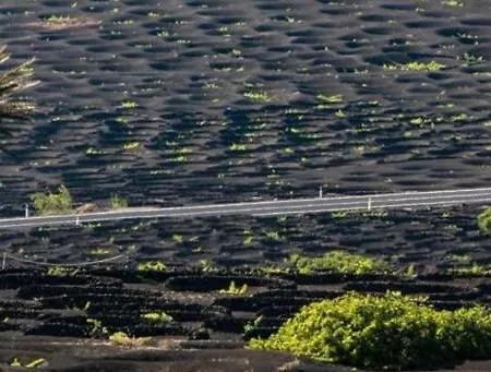 Casa Gary Caleta de Caballo